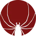Welcome to the New Spider Lab Website